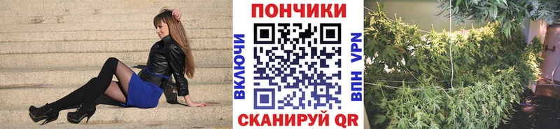 Как найти закладки Каргополь Лсд 25  Cocaine  Меф  ГАШИШ 