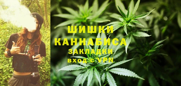 прущие крисы Мегион