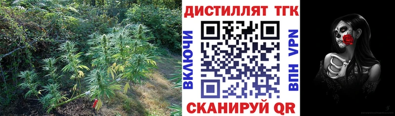 купить закладку  Каргополь  Дистиллят ТГК вейп 